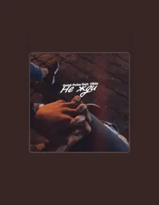 Listen to Quiet Pulse, watch music videos, read bio, see tour dates & more!