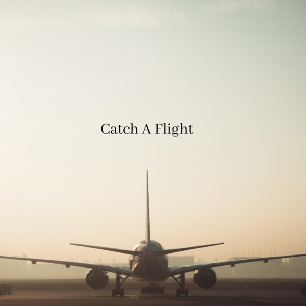 Catch a Flight