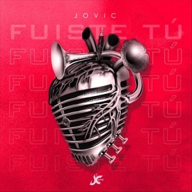 Fuiste Tu Jovic