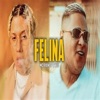 FELINA VERSÃO BH (feat. DJ RN) - Single