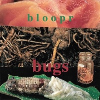 Bugs - b l o o p r