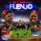Flenjo (feat. Duncan Mighty) artwork