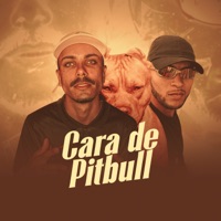 Cara de Pitbull - Single - Danilo Leite & Pizarro