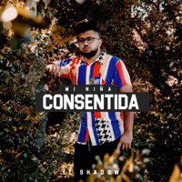 Mi Niña Consentida - Single - El Shadow