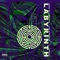 Labyrinth (feat. Leo Dynasty) - Aura Da Prophet lyrics