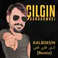 Çılgın Dondurmacı