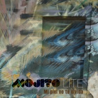 Mi Piel No Te Olvida (Remix) - Single - Mojito Lite & Sinfonic