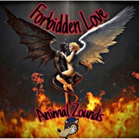 Forbidden Love - Single - Animal Zounds