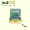Josh Fix - Tiger On a Treadmill