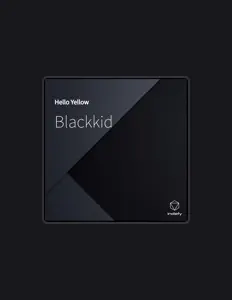 BlackKid सुनें, म्यूज़िक वीडियो देखें, बायो पढ़ें, दौरे की तारीखें और बहुत कुछ देखें!