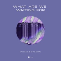 What Are We Waiting For - Single - Maximals & Chad Kowal