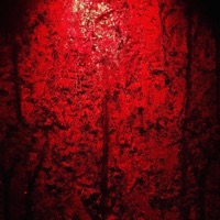 Votre Protecteur - Single - 1yuki