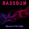 Because I Got High (Extended Mix) - Bassbum lyrics