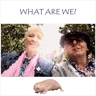 What Are We?
