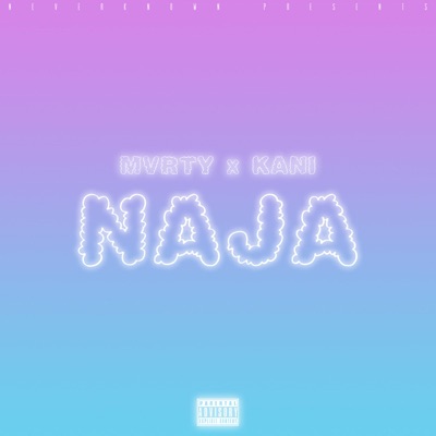 Naja (feat. Kani) - Single