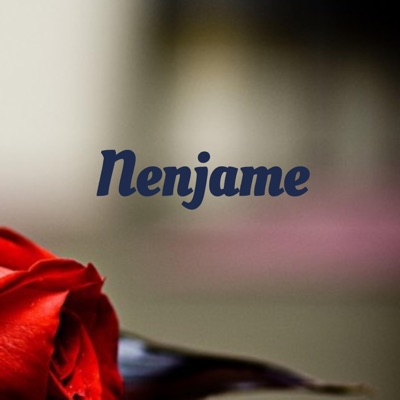 Nenjame (feat. Sudharsan Ram, Lalitha Ramakrishnan & Hyde Karty) - Single