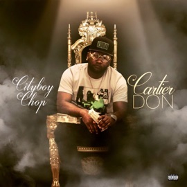 Havin It (feat. Hardaway & Driziego) Cityboy Chop