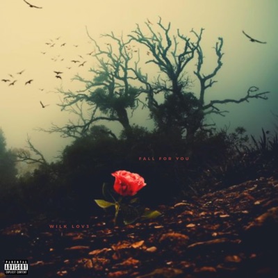 Fall for You - Single