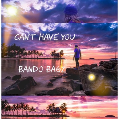 Can't Have You - Single