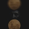 Moonlight - Single