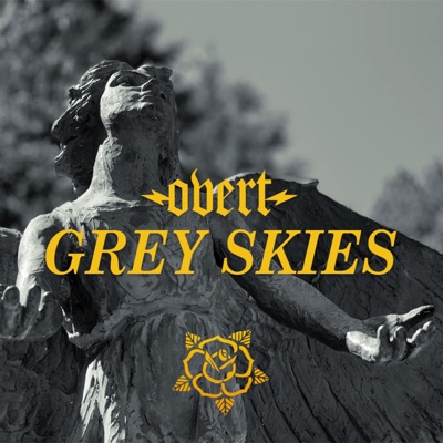 Grey Skies - Single