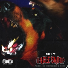 Uncle Snoop Steezy