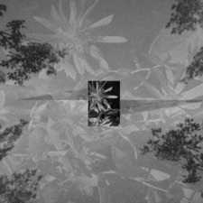 Body of Intrigue - An Ideal Home