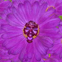 Kick in the Door - Single - John Deaf