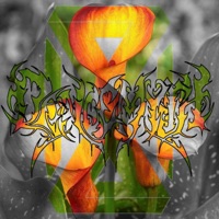 Bella - Single - Dancemyth