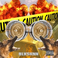 Moves - Single - BlkSknn