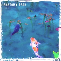 Sift - EP - Anatomy Park