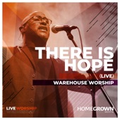 There Is Hope (Live) artwork