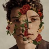 Señorita by Shawn Mendes iTunes Track 2