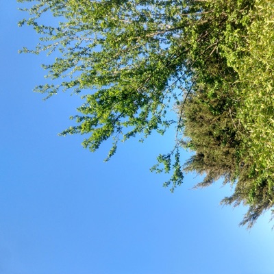 Send Me Away (feat. ST3V OR STUNNA) - Single