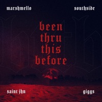Been Thru This Before (feat. Giggs, SAINt JHN) - Single - Marshmello & Southside