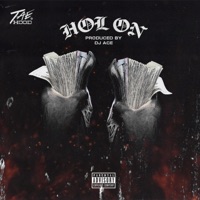 Hol'on - Single - Tae Hood