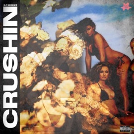 Crushin' BTB DEZZ
