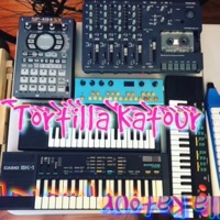 There's a Bird in Our Home - Single - Tortilla Katour