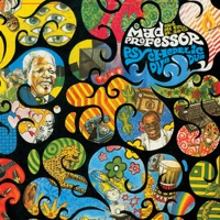 Psychedelic Dub - Mad Professor