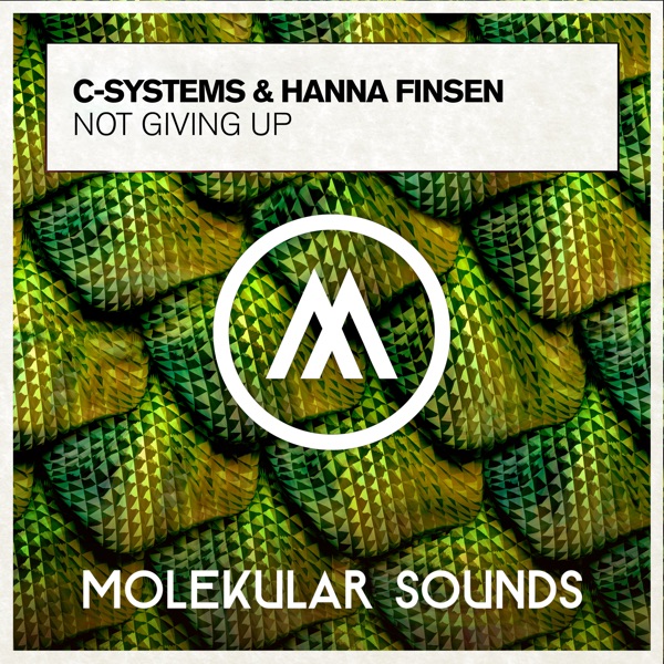 Not Giving Up - Single