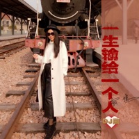 一生输给一个人 (DJ版) - Single - Ji Ji