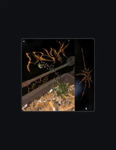 Listen to Promyki, watch music videos, read bio, see tour dates & more!