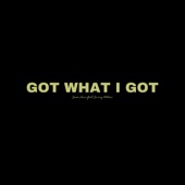 Got What I Got (feat. Jimmy Aldean) artwork