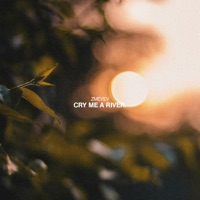 Cry Me a River - Single - Zmeyev