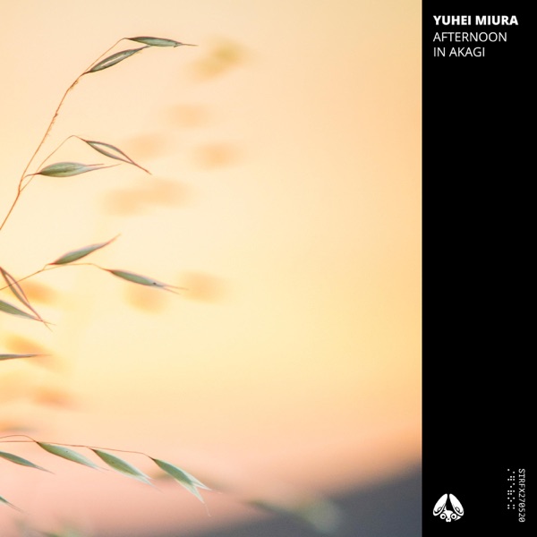 Afternoon in Akagi - Single