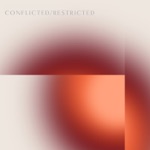 The Tourist Company - Conflicted / Restricted