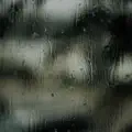 We Stayed Inside