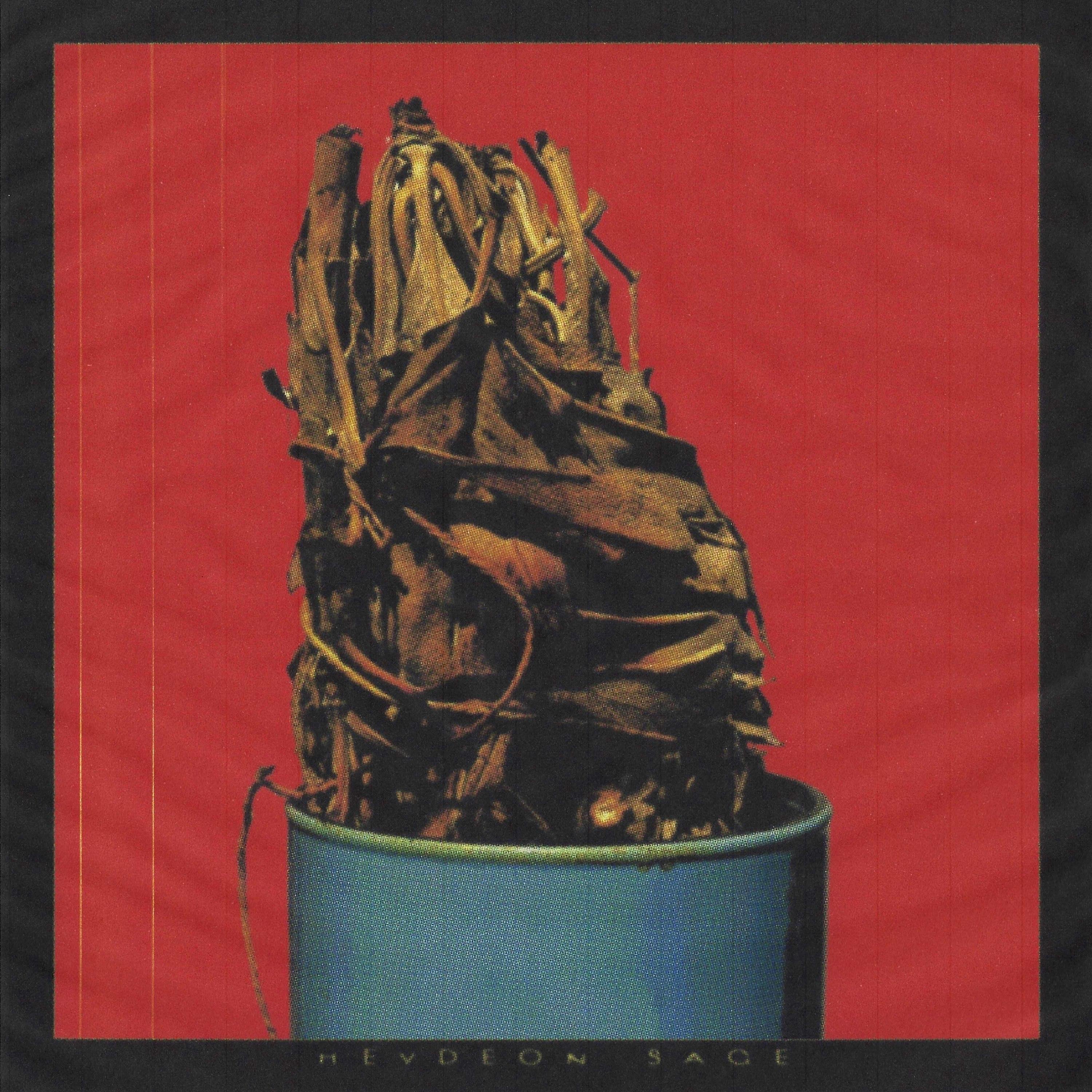 Sage - Single