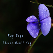 Please Don't Say - Ray Paga