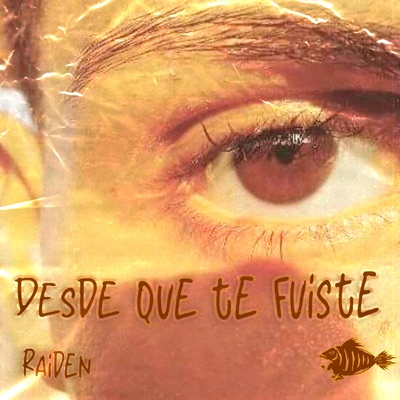 Desde que te fuiste (feat. Raiden) - Single